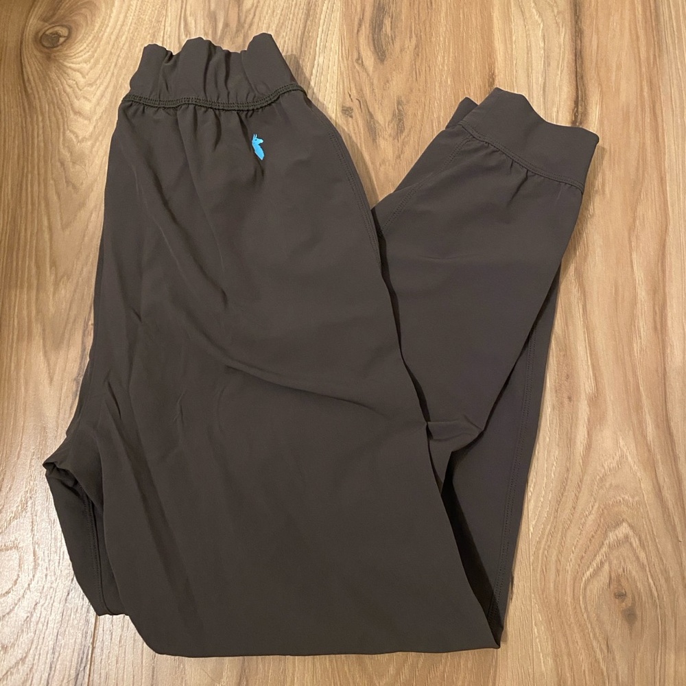 Cotopaxi Jogger Trail Pants Travel Pants
